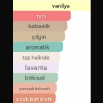 Belmoren Beaufort Erkek Parfümü - Görsel 3