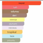 Belmoren Leon Erkek Parfümü - Görsel 2