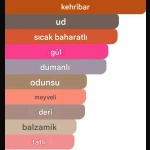Belmoren Mars Erkek Parfümü - Görsel 2