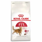 Royal Canin Fit 32 Yetişkin Kedi Maması 400 Gr